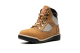 Timberland 6 inch Field Boot (TB044793-231) braun 4
