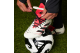 adidas Predator Elite Fold Over Tongue FG FT (ID8968) weiss 6