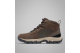 Columbia Newton Ridge Plus II Suede (1746411-233) braun 5