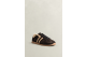 GANT 33633396 (873633396-205) braun 2