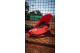 HEAD Sprint Pro 3.5 Clay (273163-FCBB) rot 1