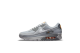 Nike Air Max 90 Wolf Kumquat (DR0145-001) grau 1