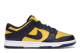 Nike Dunk Low Michigan 2021 (DD1391-700) bunt 6