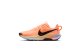 Nike Pegasus Trail 5 (DV3864-800) orange 1