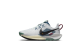 nike pegasus trail 5 dv3865100