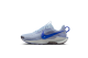 Nike Pegasus Trail 5 (DV3865-403) blau 1