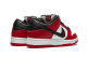 Nike Dunk Low SB J Pack Chicago Pro (BQ6817-600) bunt 4