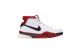 Nike Zoom Kobe 1 Star 2006 All (313143-101) bunt 4