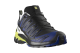 Salomon XA Pro 3d V9 Gore tex GTX (L47832500) bunt 6