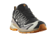 Salomon XA PRO 3D V9 GTX (L47881900) bunt 6