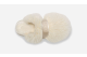 UGG Fluff Momma Slide (1131974-WHT) beige 5