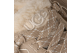 UGG Lowmel Mule (1180313-MNL) beige 5