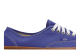 Vans Authentic (VN0A348A3ZE) blu 6