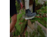adidas Free Hiker 2 (IE3362) schwarz 2