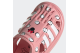 adidas Water Sandal I (FY8941) pink 5