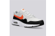 Nike Air Max SC (CW4555-018) grau 6