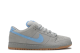 Nike Dunk Low Pro SB Iron (304292-022) grau 5