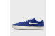 Nike Chron 2 SB (DM3493-401) blau 1