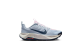 Nike Wildhorse 10 (FV2337-004) grau 5