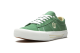 Vans Saddle Sid Pro Hedge Green (VN0A4BTBZXQ) grün 5