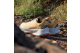 adidas Soulstride Flow Trail (ID7720) gelb 5