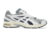 Asics Gel DS Trainer 14 (1203A607.100) bunt 1