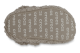 Crocs Toddler Classic Cozzzy Slipper (210857-195) beige 4