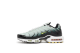 Nike Air Max Plus (DM0032-006) bunt 3