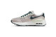 Nike Air Max (DQ0284-005) grau 6