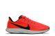 Nike Air Zoom Pegasus 36 Bright Crimson (AQ2203-600) rot 6