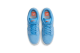 Nike Dunk Low Pro SB (FJ1674 401) blau 6