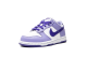 Nike Dunk Low Blueberry PS (DZ4457 100) bunt 5