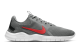 Nike Flex Experience Run 9 Particle Grey (CD0225-008) grau 2