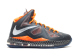 Nike LeBron 10 History Month X (583109-001) bunt 5