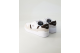 Lacoste T Clip Set (51SMA0168_14X) multicolore 6