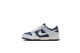 Nike Dunk Low GS (FB9109-002) blau 1