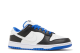 Nike Dunk Low Royal (FD9064 110) bunt 6