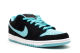 Nike Dunk Low Pro SB Jade Clear (304292-030) bunt 6