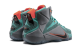Nike LeBron 12 NSRL (684593-301) bunt 4