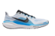 Nike Pegasus 41 (FD2722-119) bunt 5