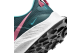 Nike Pegasus Trail 3 (DA8698-300) bunt 6