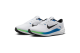 Nike Winflo 10 (FN7992101) bunt 6