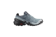 Salomon Speedcross 6 GTX W (L47302300) grau 1