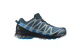 Salomon XA Pro 3D v8 GTX (L41629200) bunt 1
