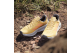 adidas Soulstride Flow Trail (ID7720) gelb 4