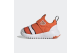 adidas x Disney Suru365 Findet Nemo Slip On (HP9005) orange 6