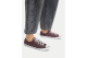Converse Chuck Taylor All Star Dainty (A13800C) marrone 5