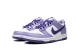 Nike Dunk Low Blueberry GS (DZ4456 100) bunt 3