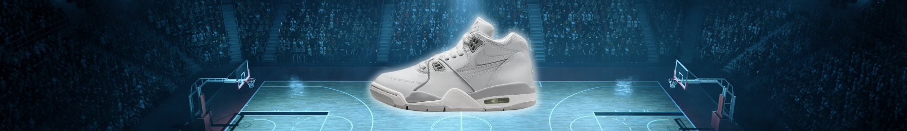 Nike Air Flight