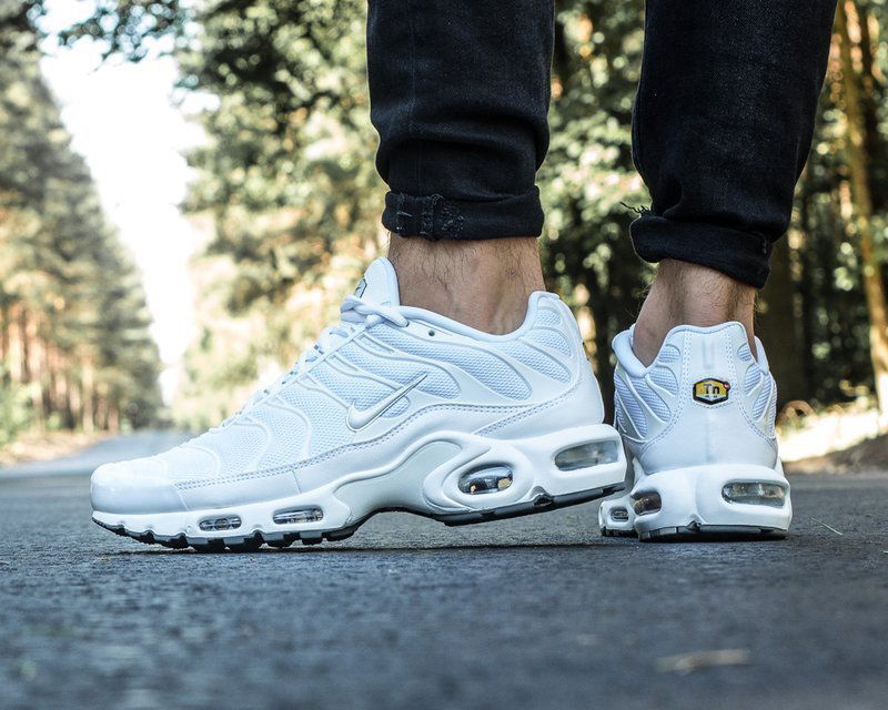 Nike Air Max Plus White DM2362-100 On feet